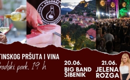PROGRAM 8. DANI DALMATINSKOG PRŠUTA I VINA
