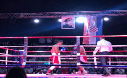 Kickboxing: Domaći borci suvereni na svom terenu